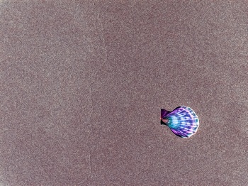 N 039D